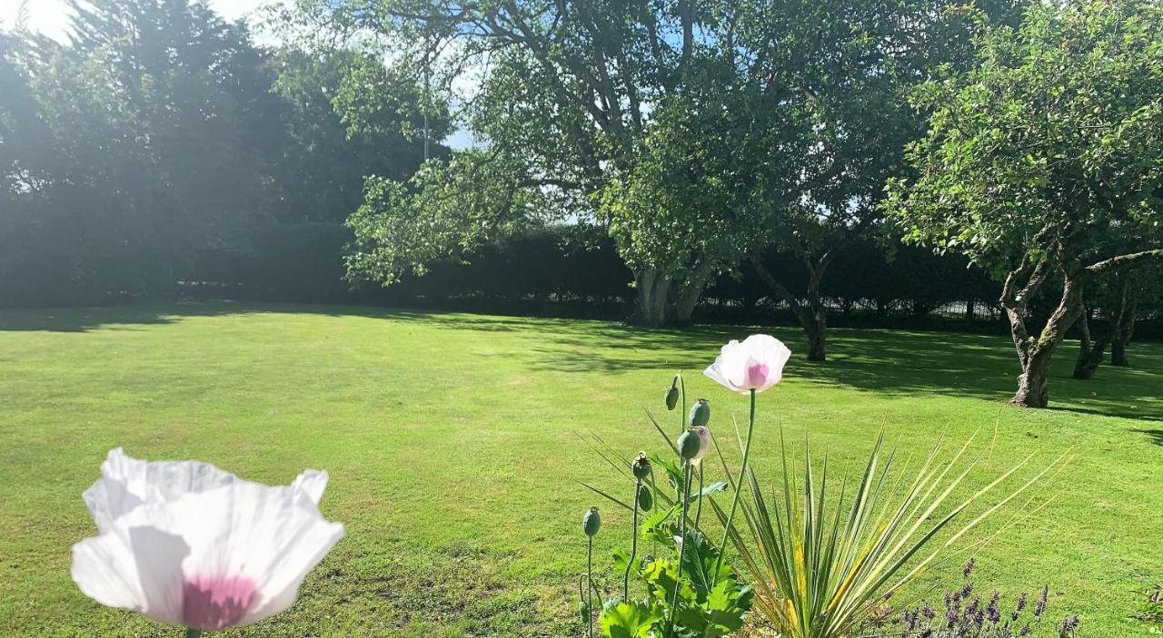 Hope Orchard Bed & Breakfast Cheltenham Exterior foto