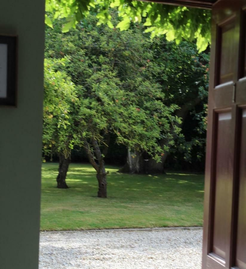 Hope Orchard Bed & Breakfast Cheltenham Exterior foto